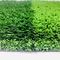 Синтетическая на открытом воздухе искусственная трава на футбольное поле 25mm 30mm 35mm