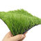 Синтетическое искусственное сопротивление 5/8inch травы 50mm футбола прочное УЛЬТРАФИОЛЕТОВОЕ