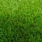 ПЭ высокой плотности благоустраивая искусственную траву естественную 3/8 '' 12500 Дтекс